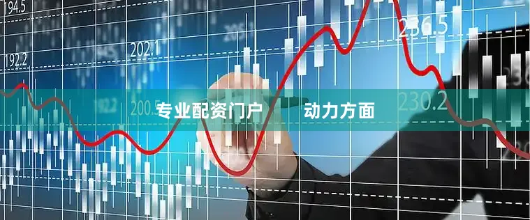 专业配资门户        动力方面