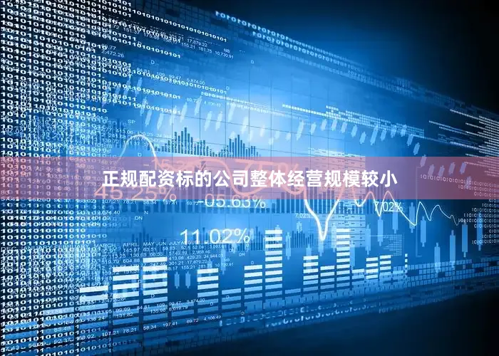 正规配资标的公司整体经营规模较小